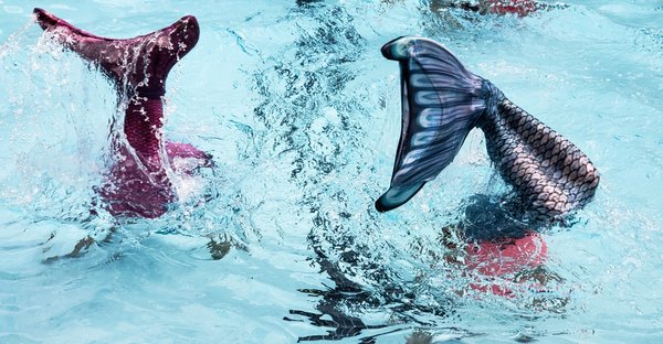 Explorez les Profondeurs avec Style : Découvrez nos Queues de Sirène pour Hommes