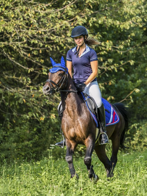 Pantalon d'équitation : quel tissu privilégier ?