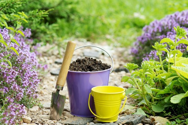 Découvrez le compostage bokashi: guide pratique et astuces